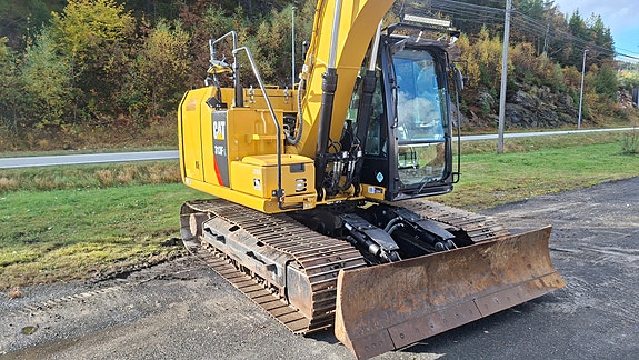Cat 313FL 5 of 15