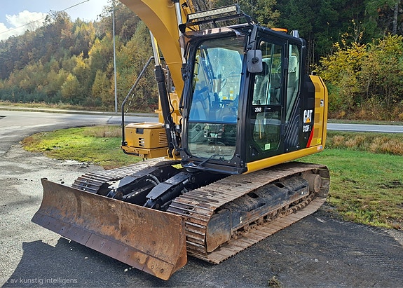 Cat 313FL 6 of 15