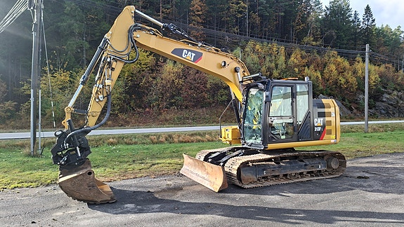 Cat 313FL 3 of 15