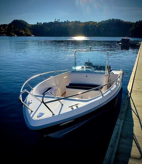 Goldfish 21 sport, Mercruiser 4,3 V6 meget pen klar for ny sesong 6 of 23