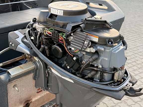 Pioner active 14 - full service på motor - henger medfølger 5 of 7