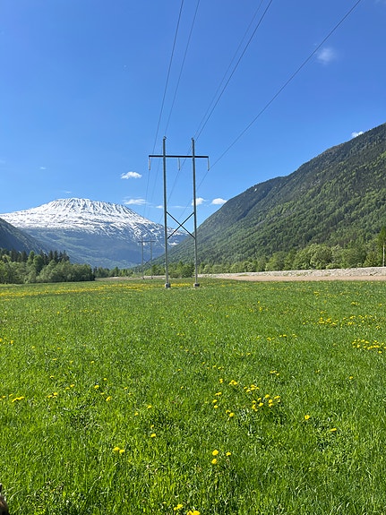 Bilde fra arbeidsgiver