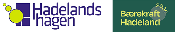 Hadelandshagen AS logo
