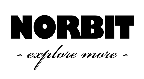 NORBIT EMS AS logo