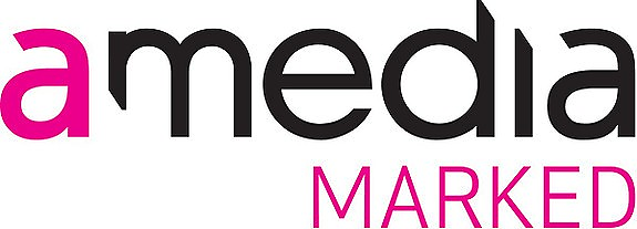 medierådgiver logo