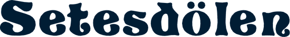 AS Setesdølen logo