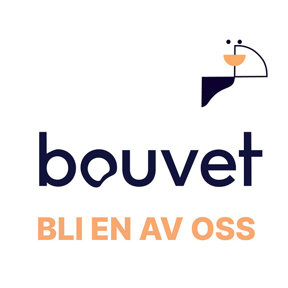 Bouvet Norge AS logo