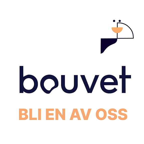 Bouvet Norge AS logo