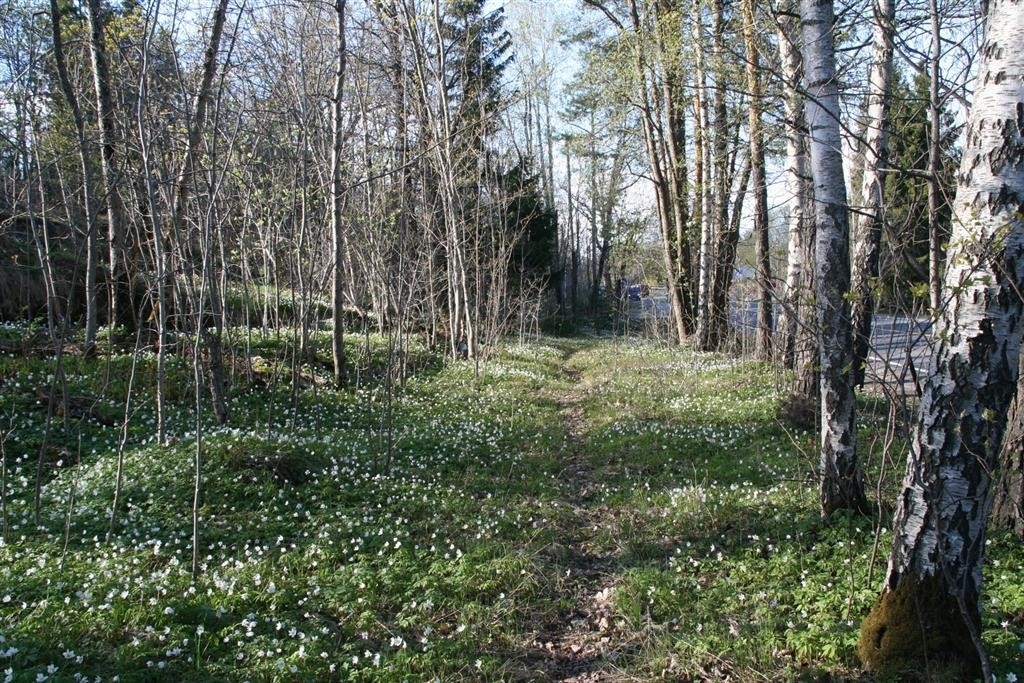 Våren er kommet til Nesodden