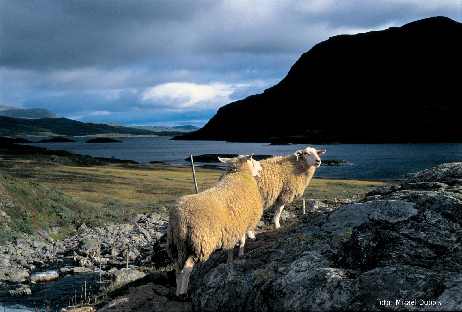 Vi tar vi det grønne skiftet og FNs bærekraftsmål på alvor.