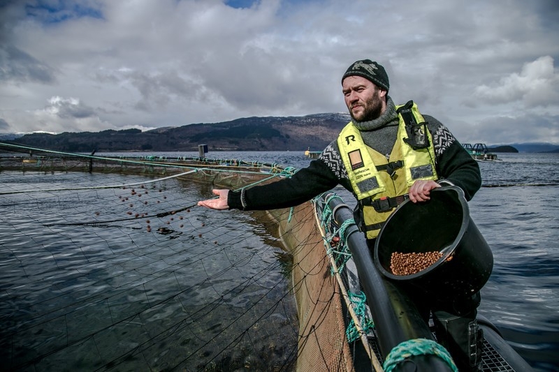 Vi har våre helt egne fôrfabrikker og kontroll helt fra fôr til tallerken.