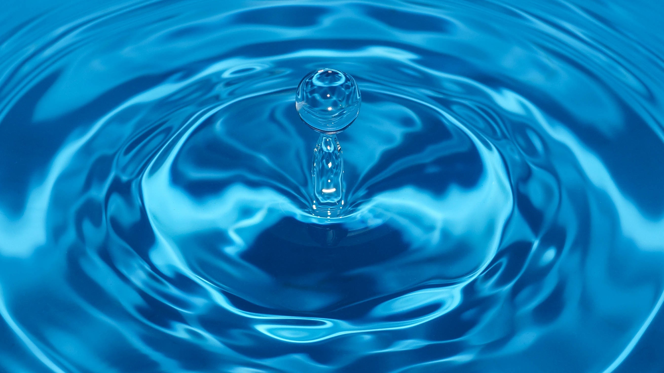 company cover image