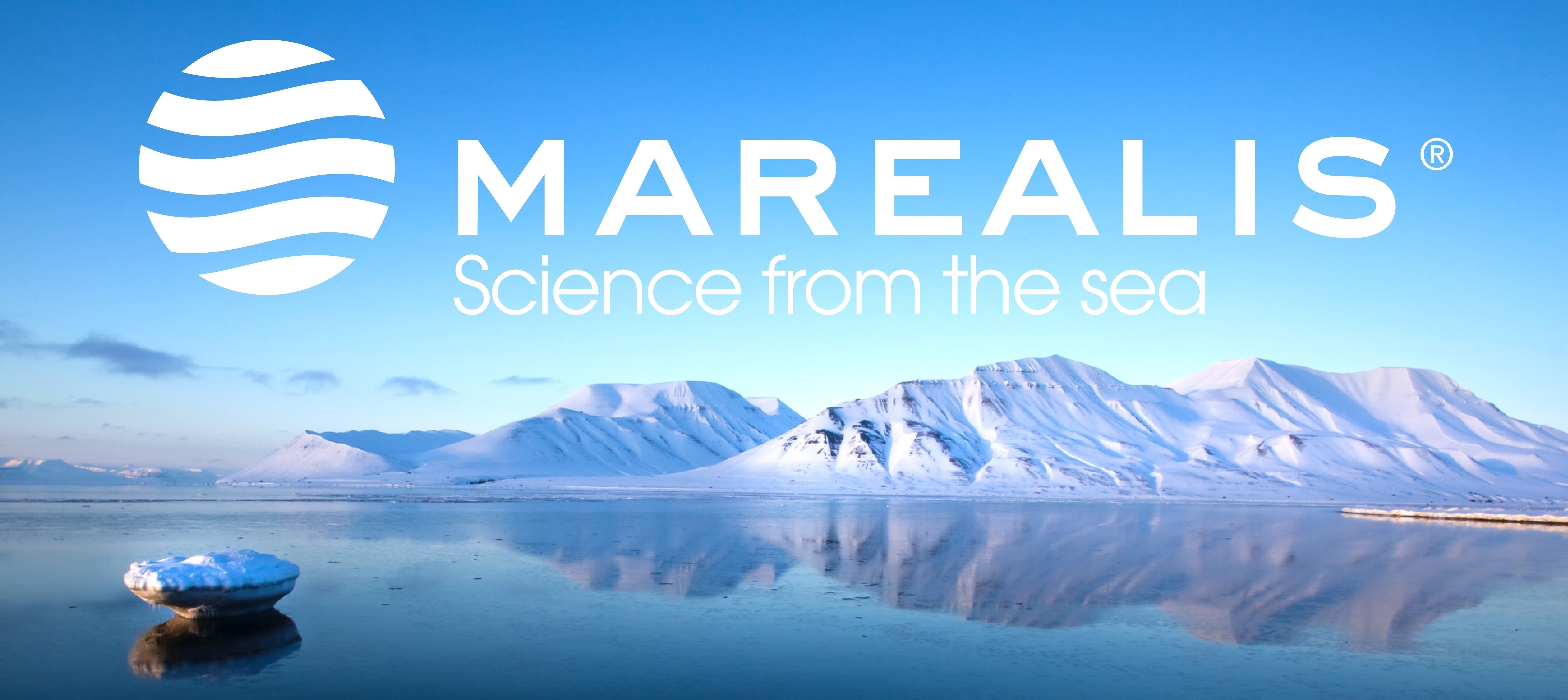 company cover image