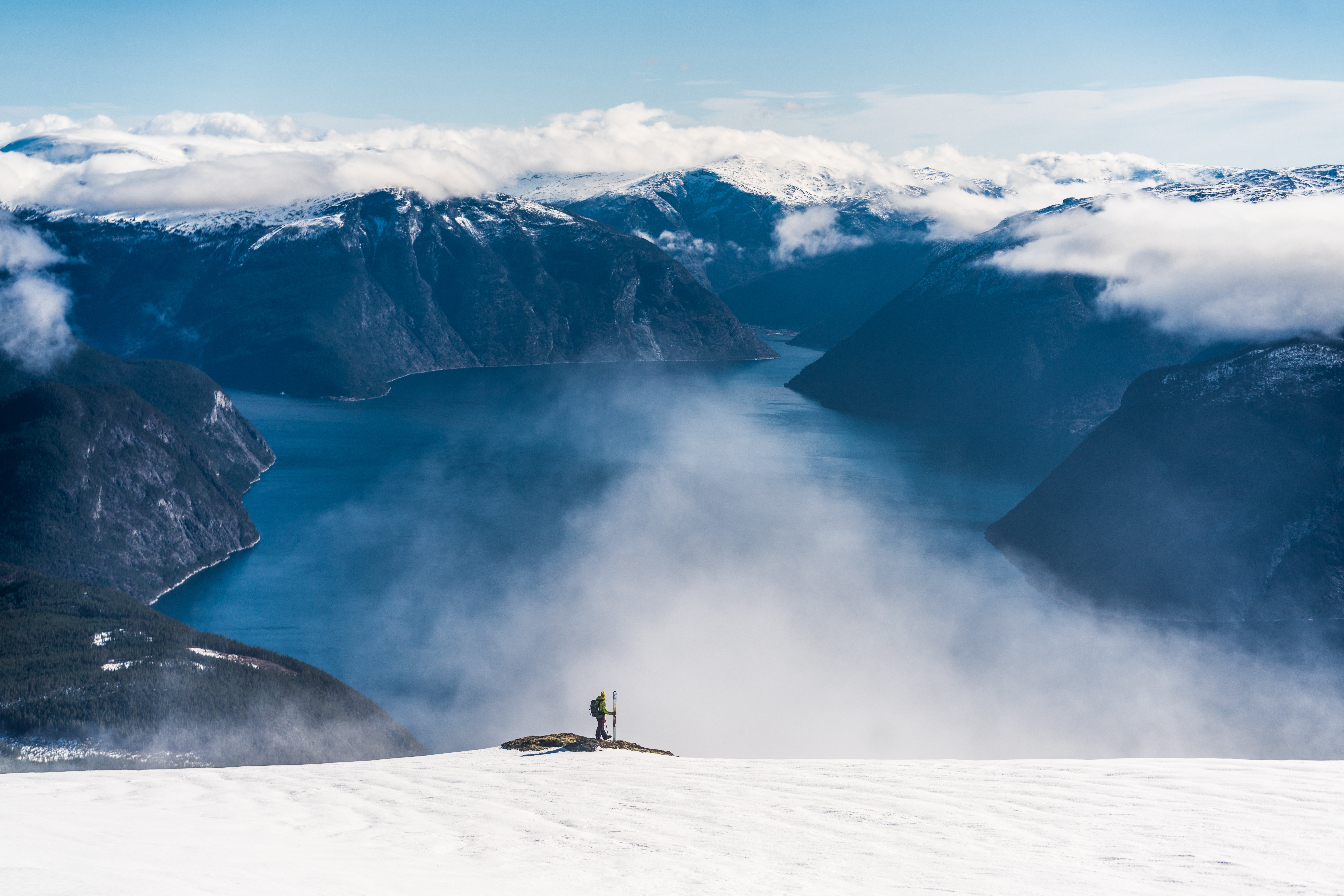 company cover image