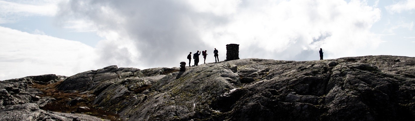 company cover image