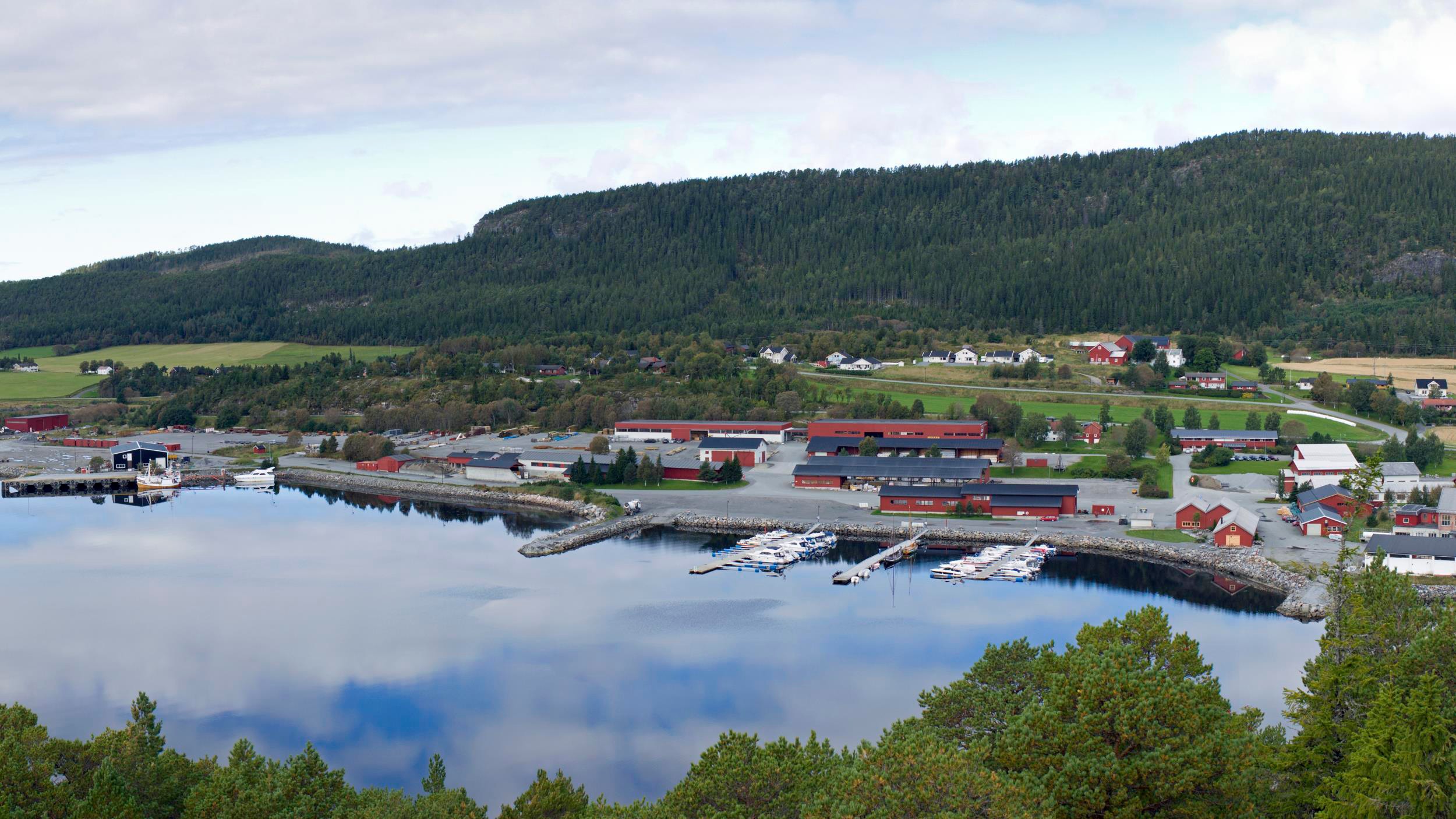 company cover image