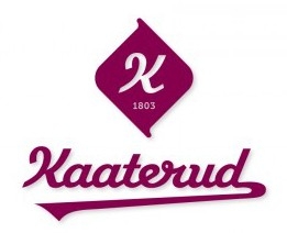 company logo image 