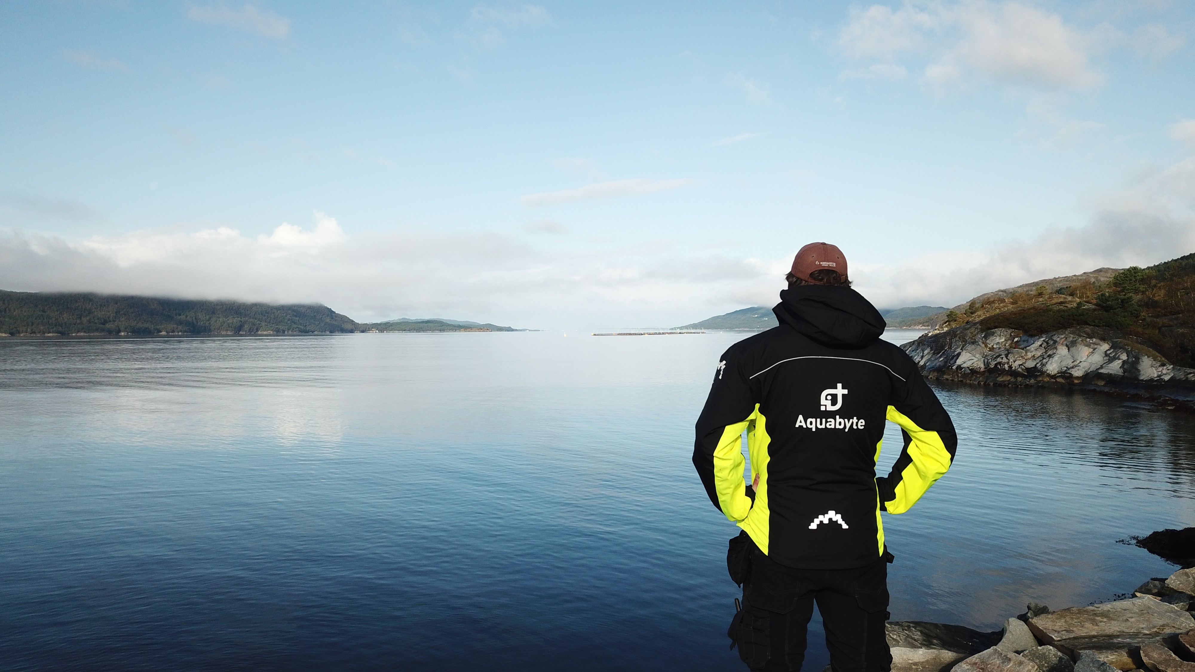 company cover image