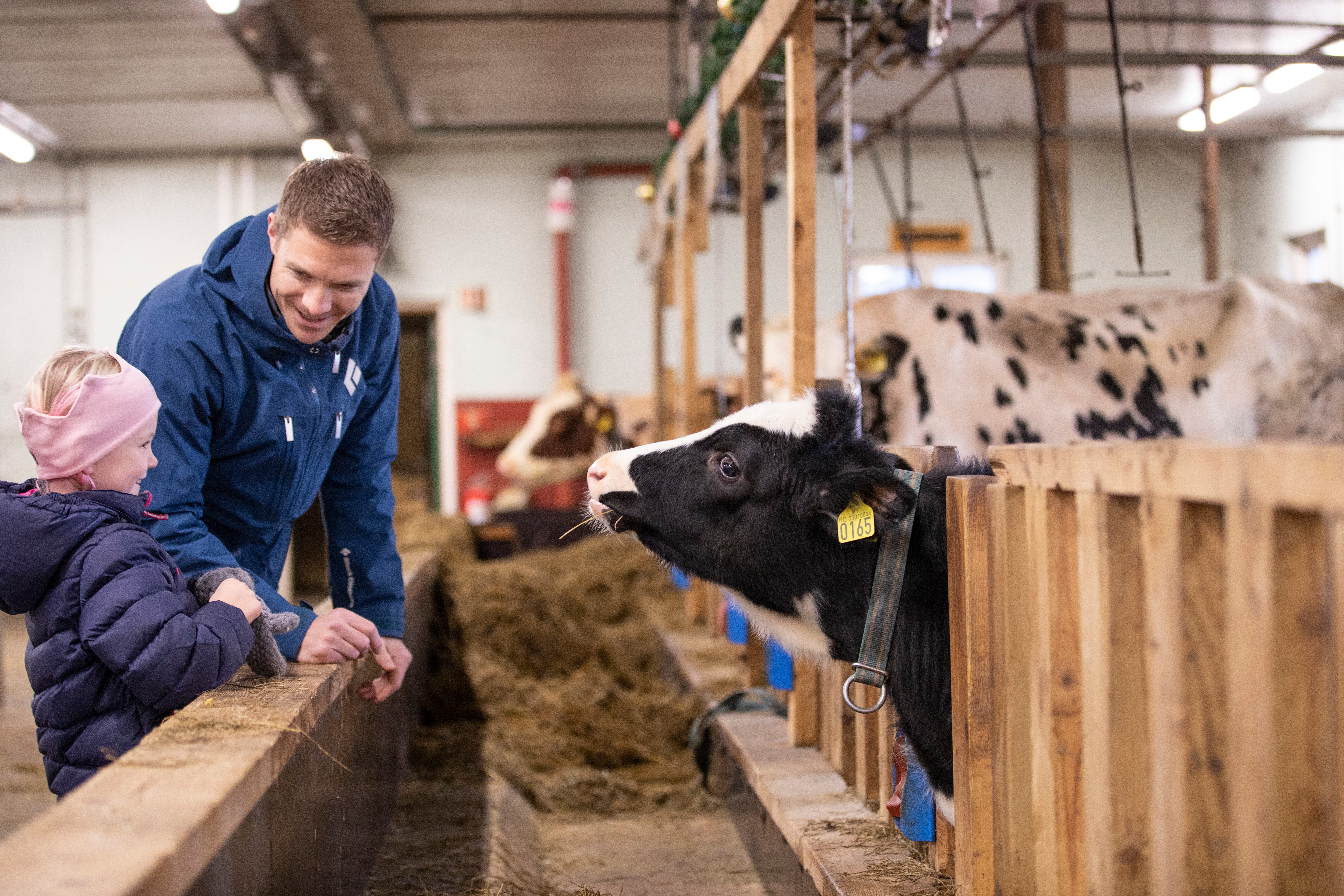 Bymiljøetaten drifter flere av Oslo kommune sine gårder 