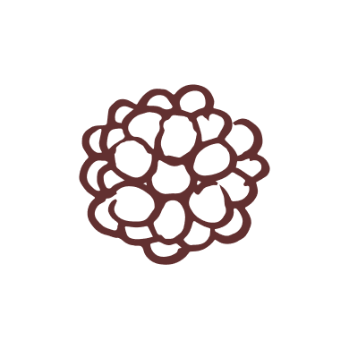 company logo image