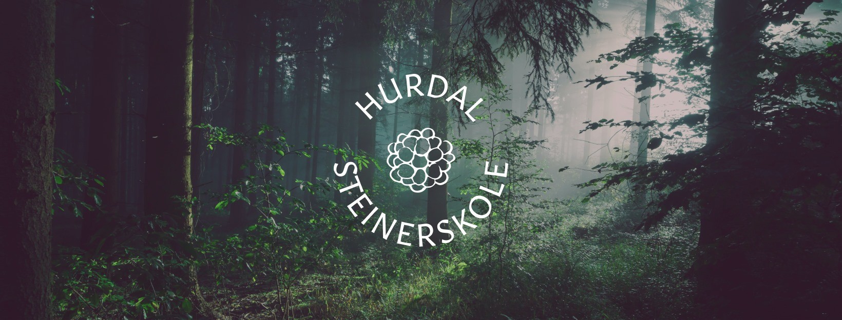 company cover image