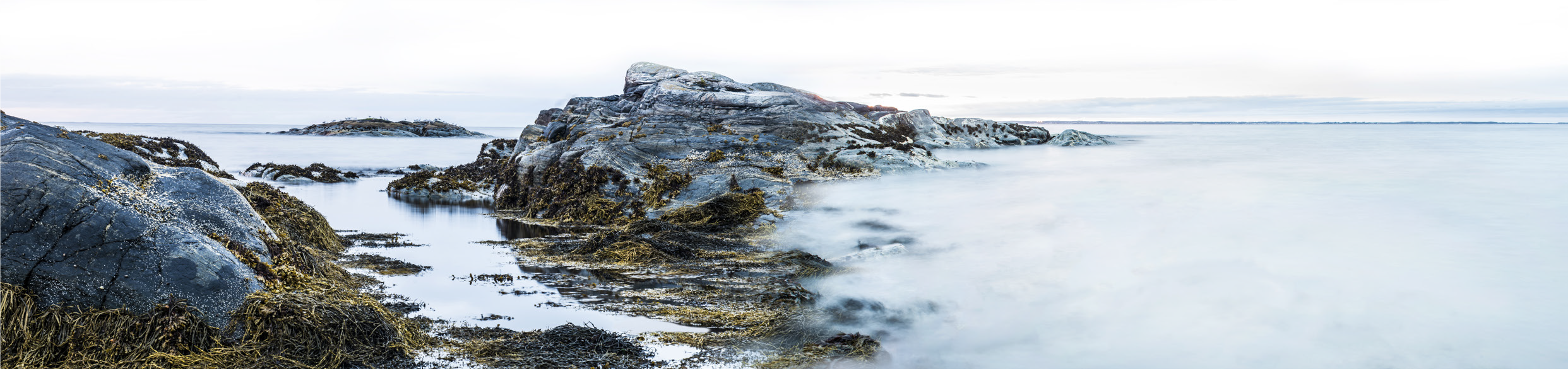 company cover image