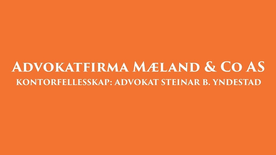 company logo image 