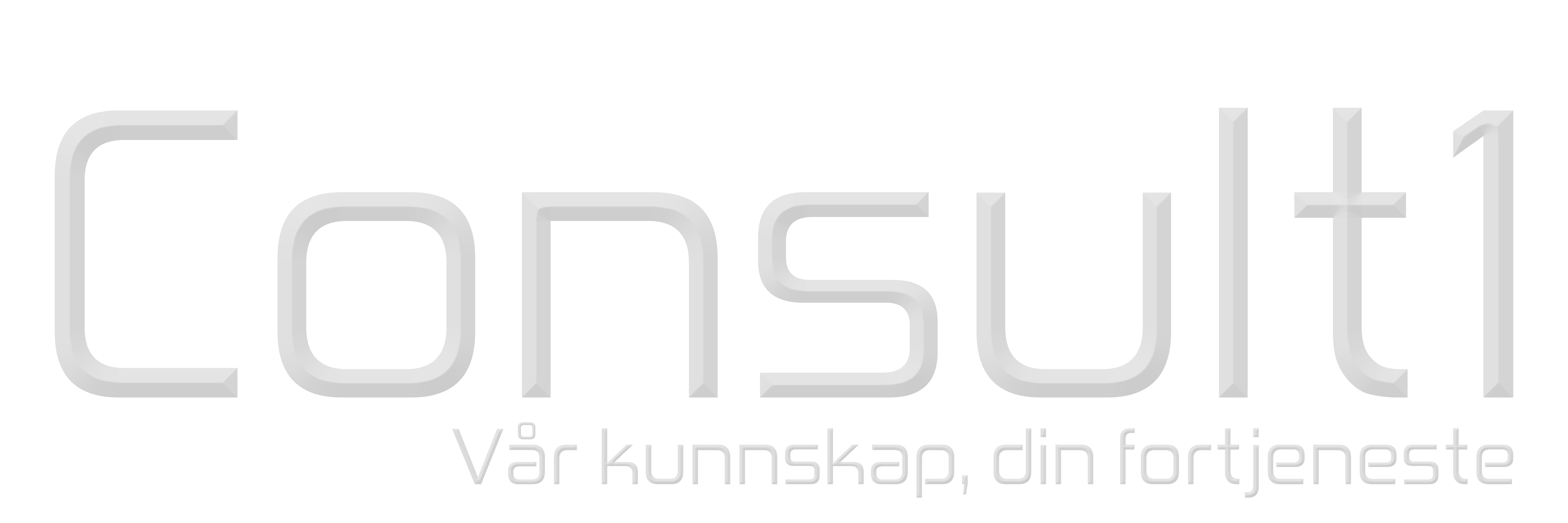 company logo image 