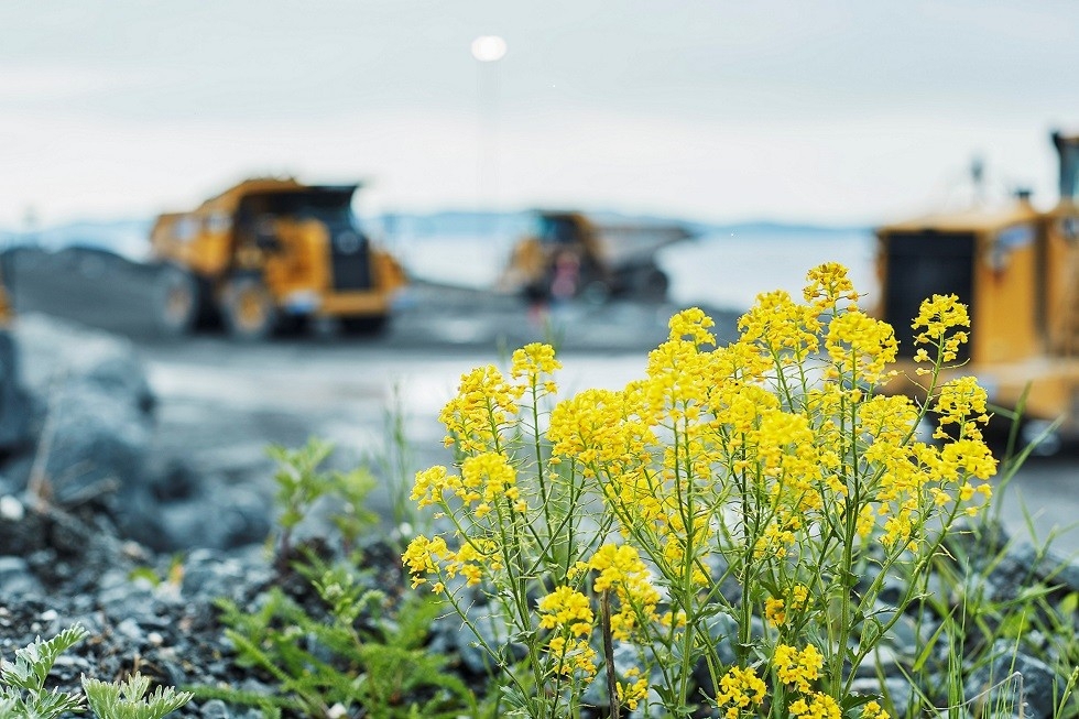 company cover image