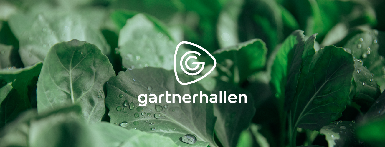 company cover image