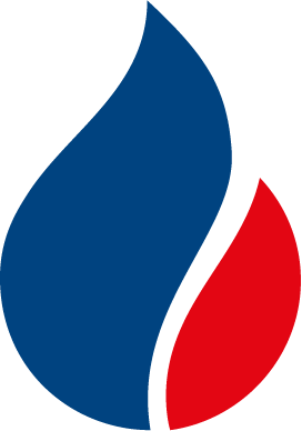 company logo image 