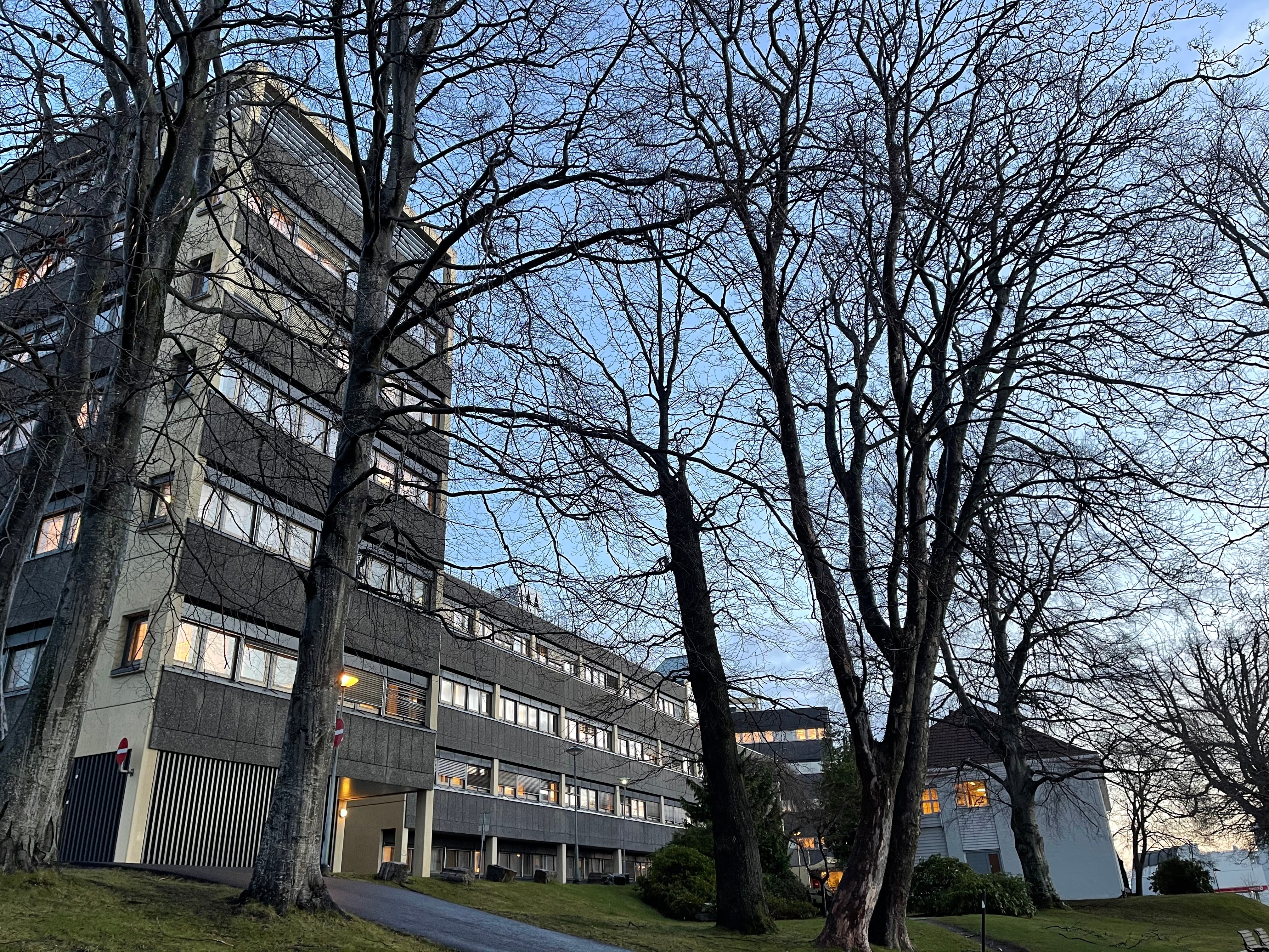 company cover image