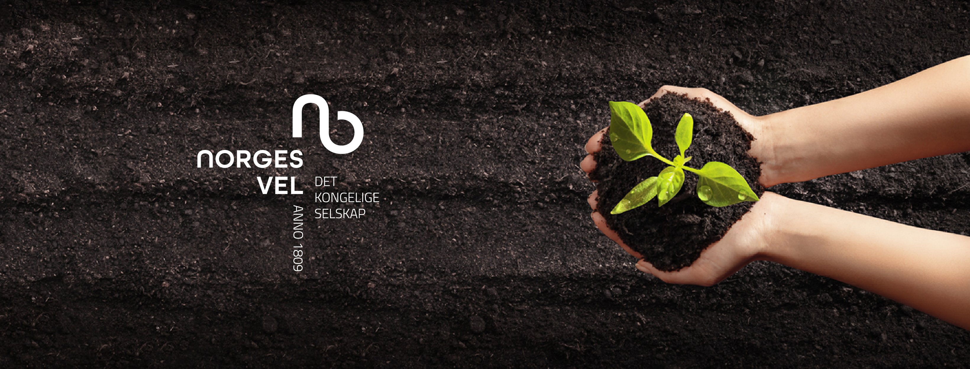 company cover image