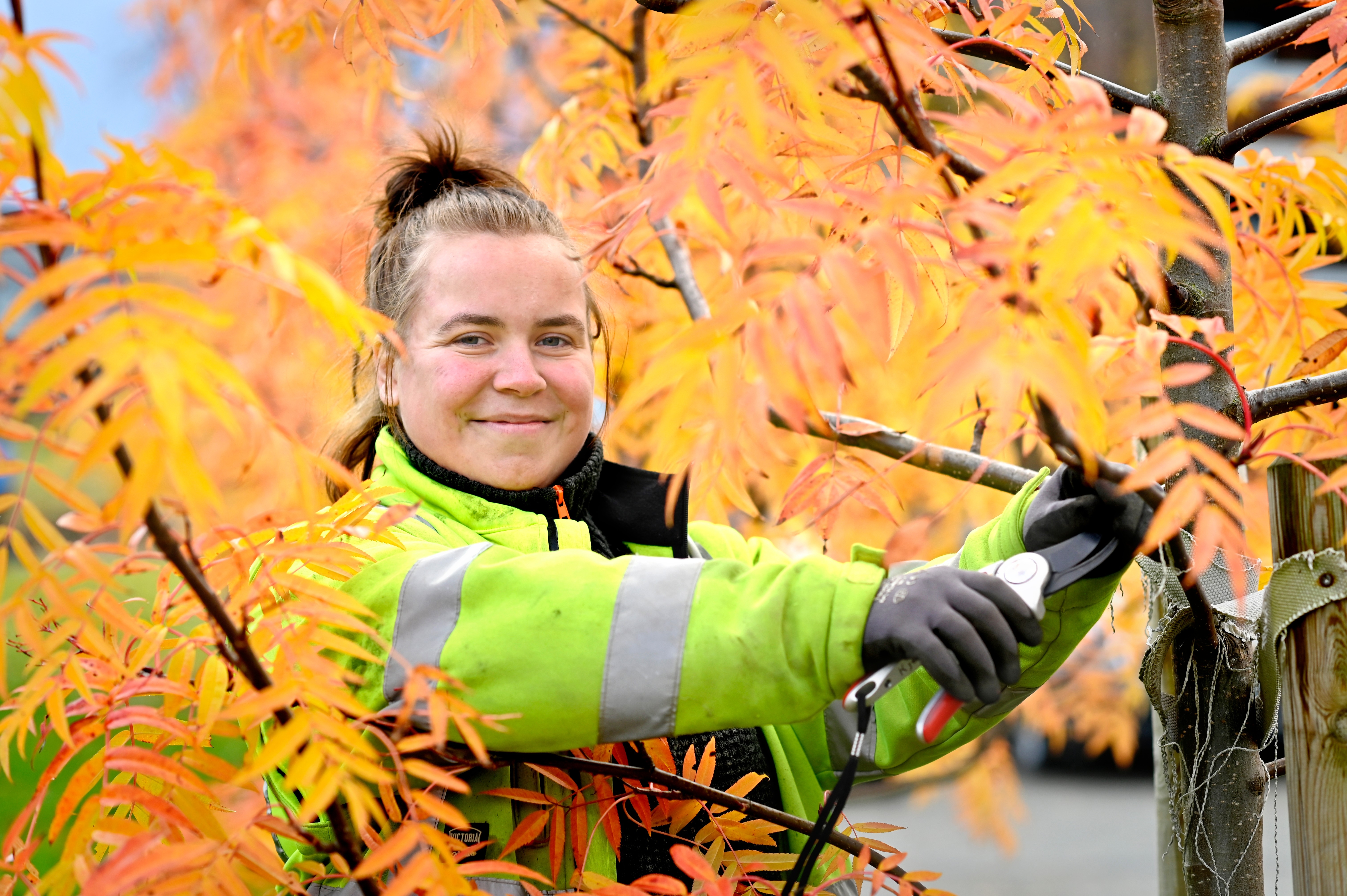 Lærling, anleggsgartner