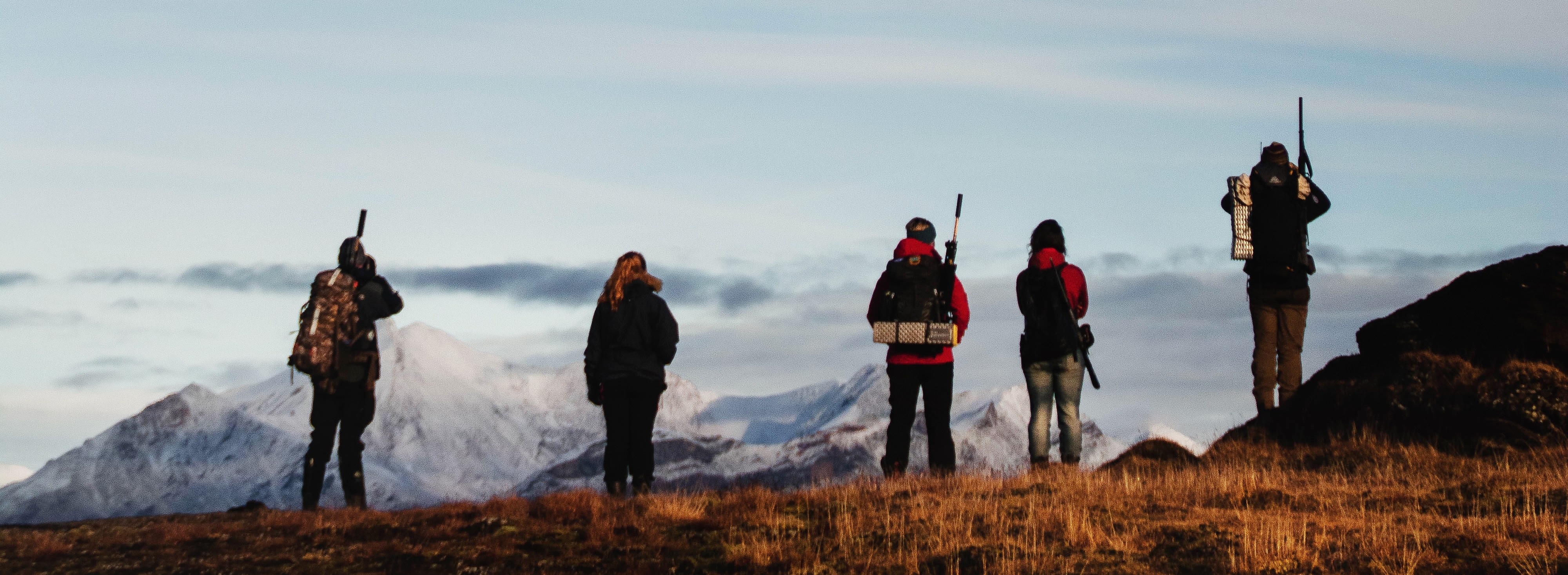 company cover image