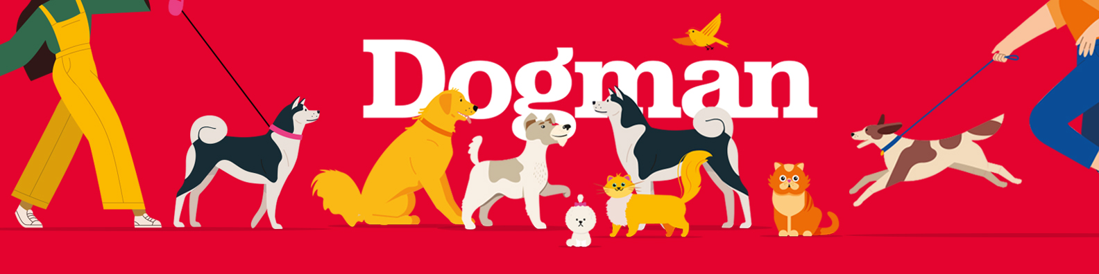 company cover image