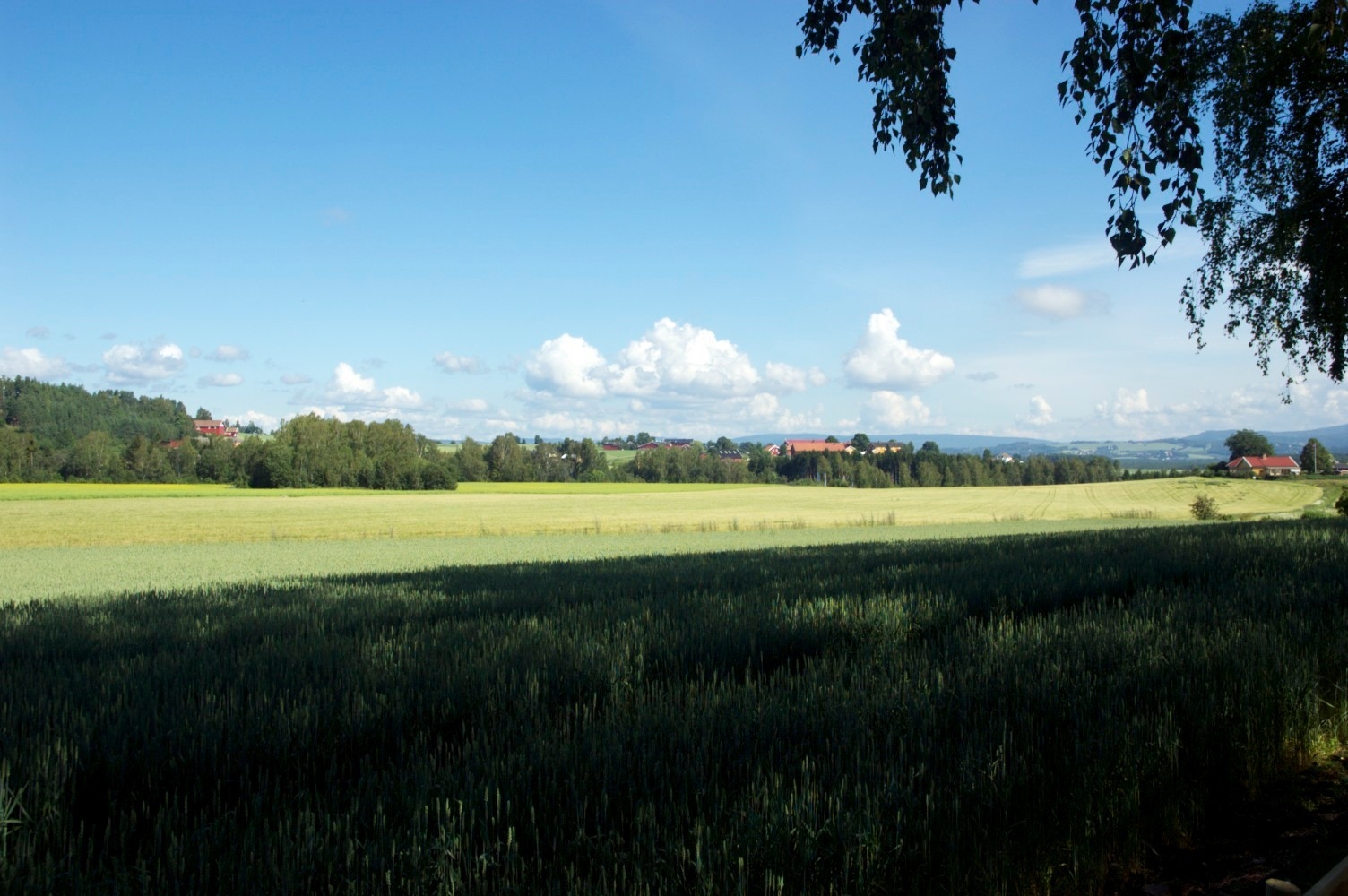 company cover image