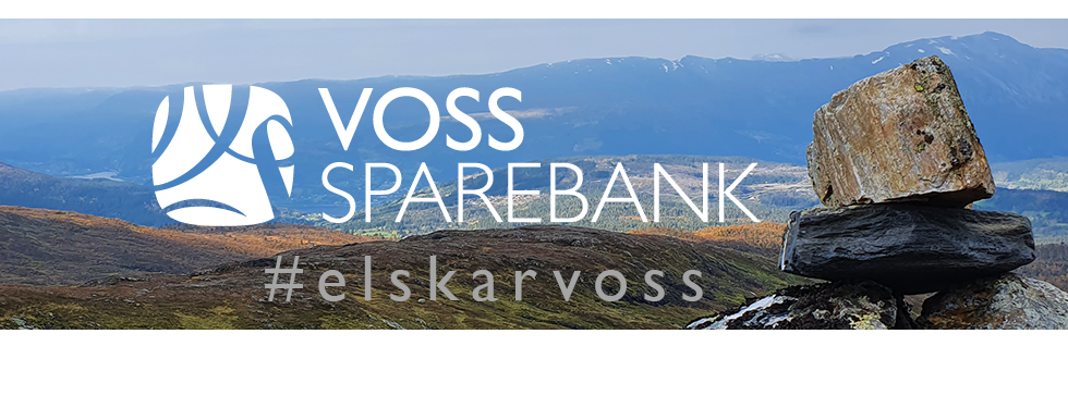 company cover image