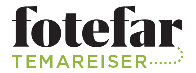 company logo image 