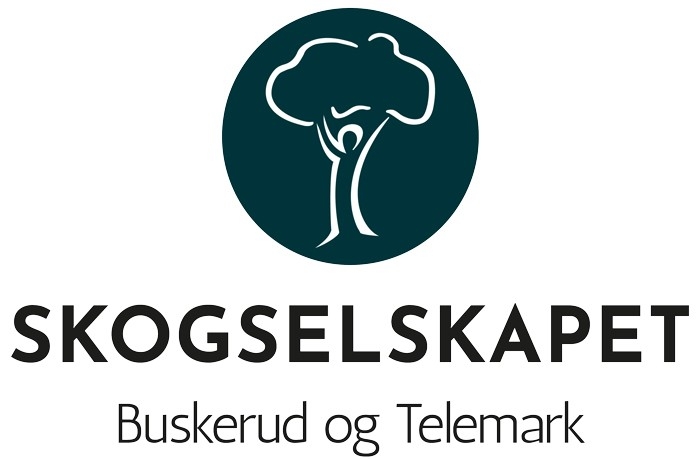 company logo image 