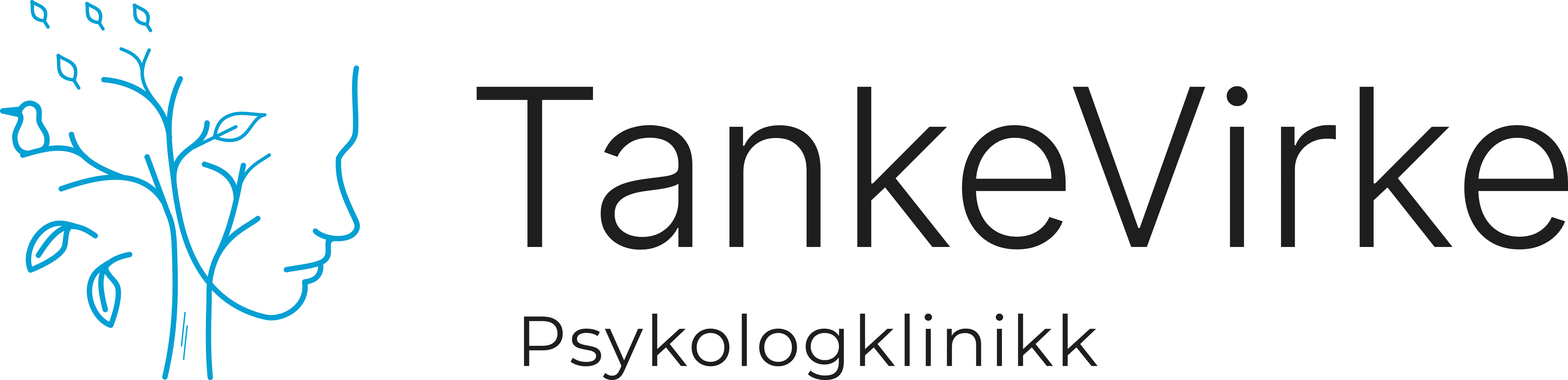 company logo image 