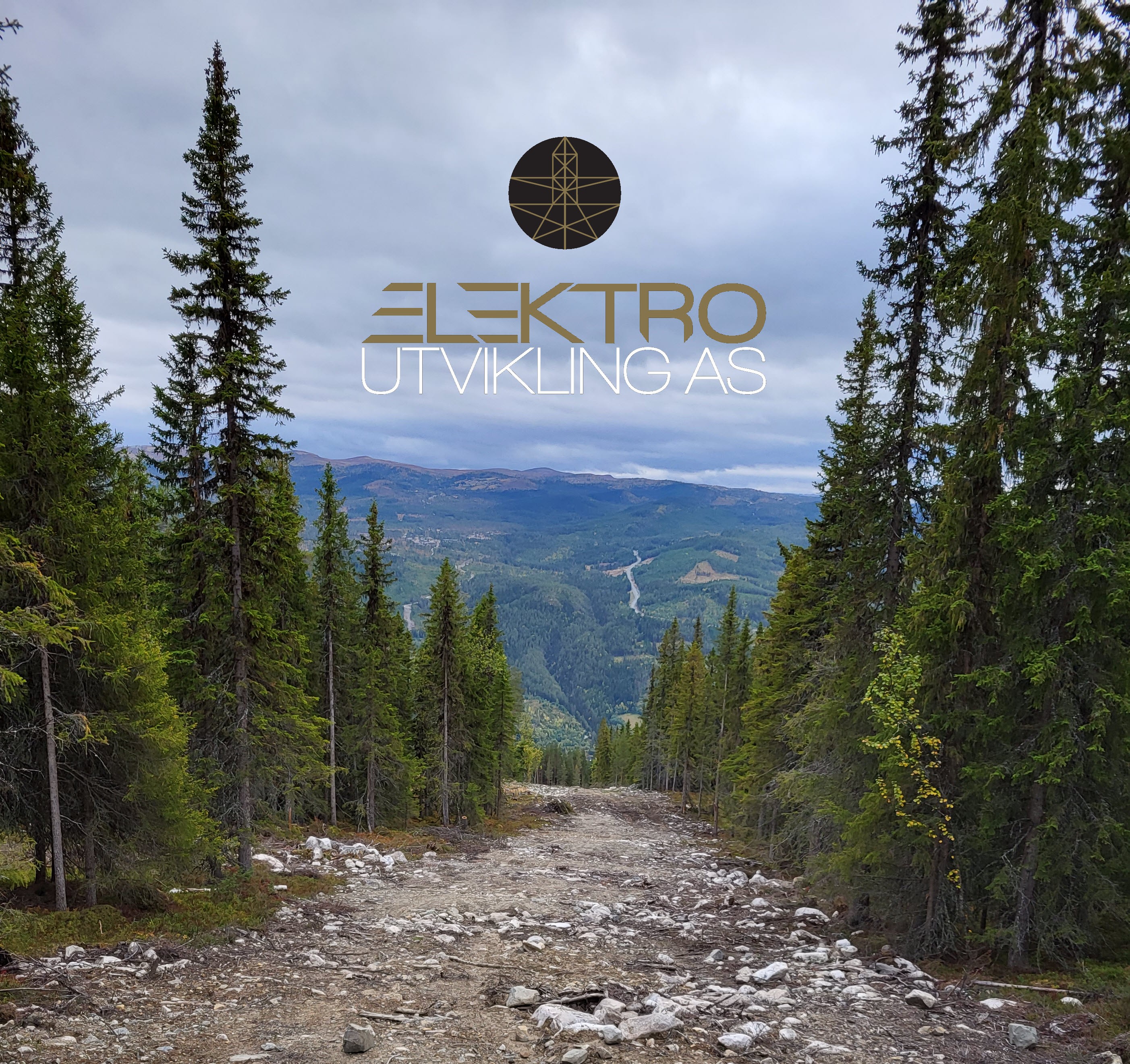 company cover image