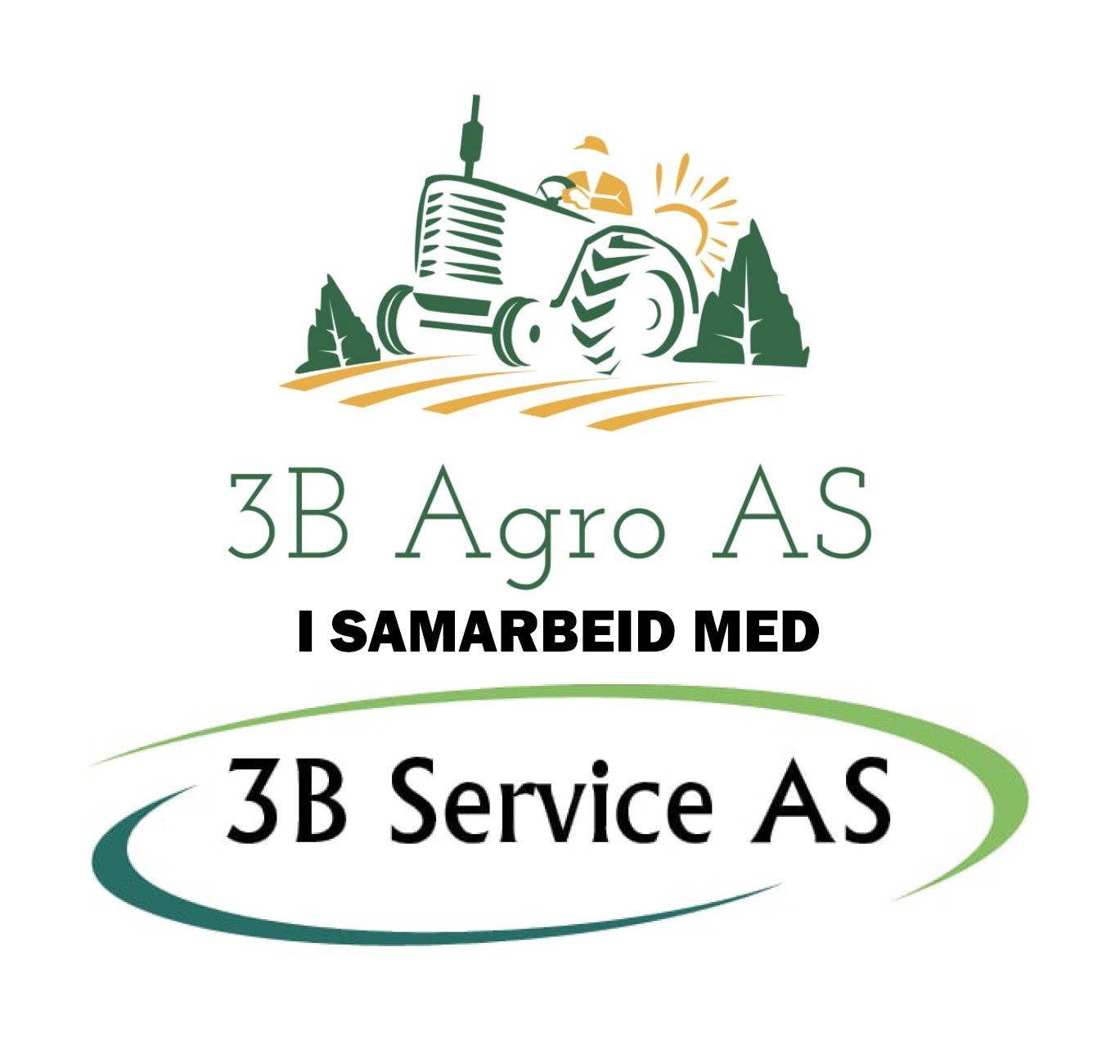company logo image 