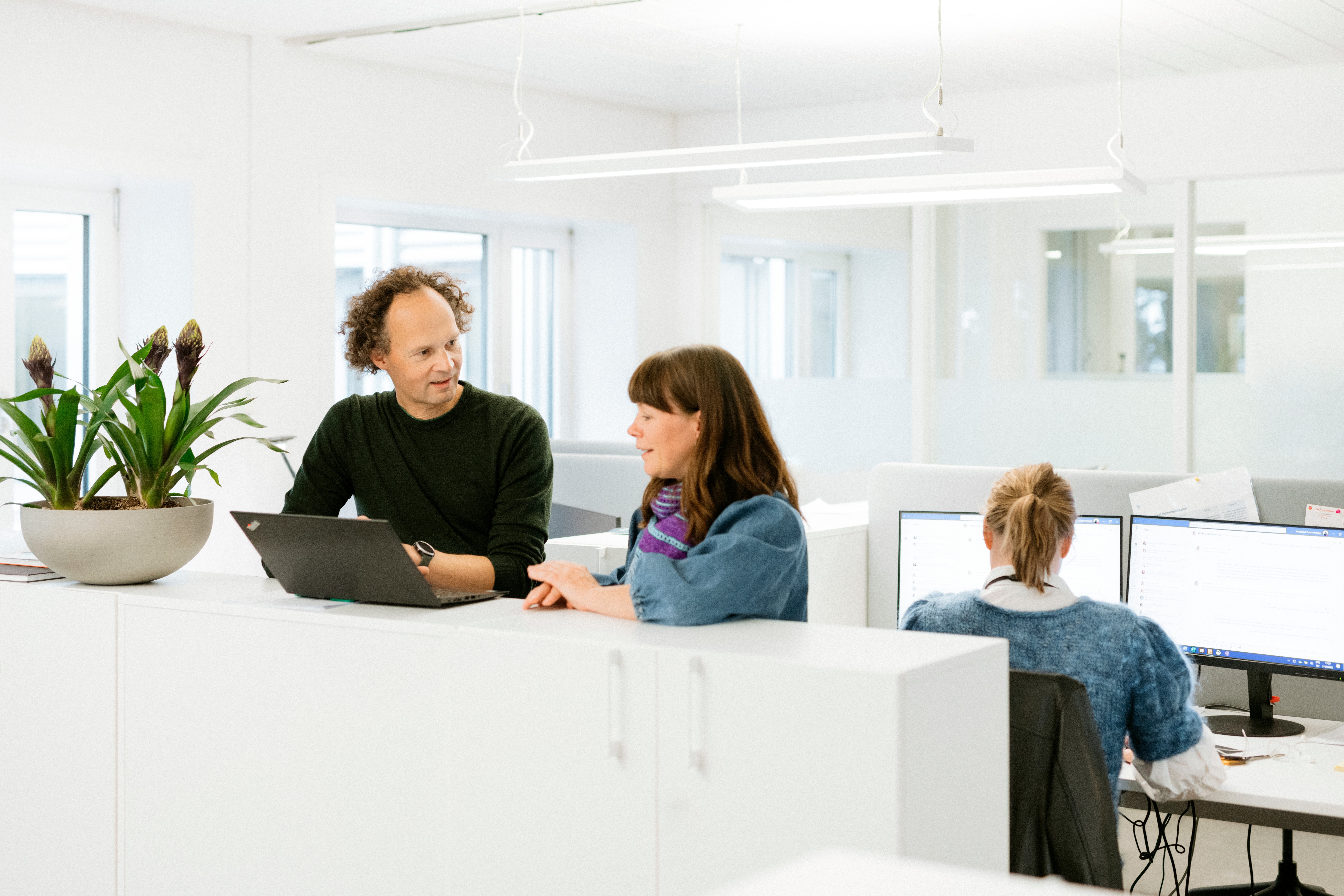 company cover image