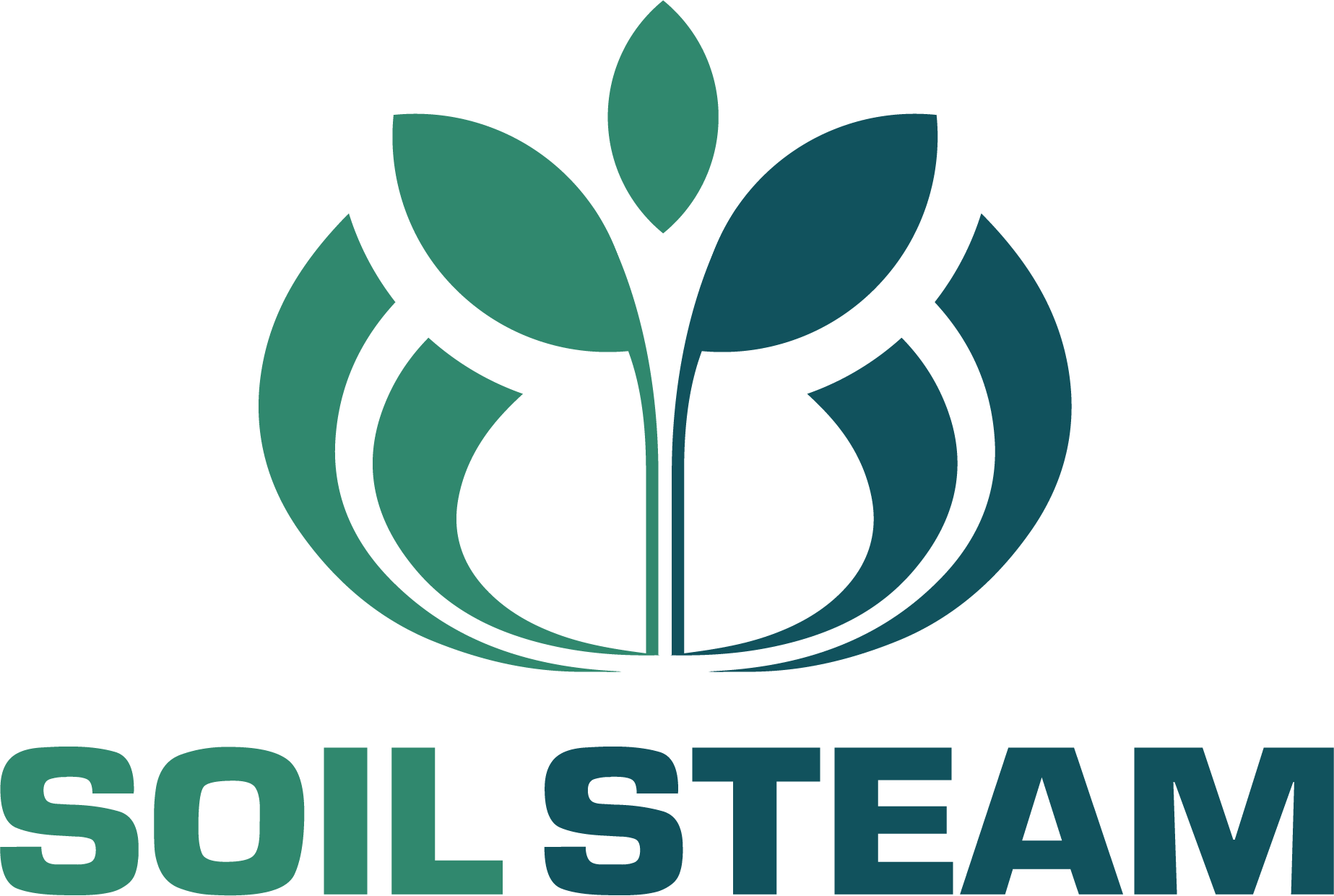 company logo image 