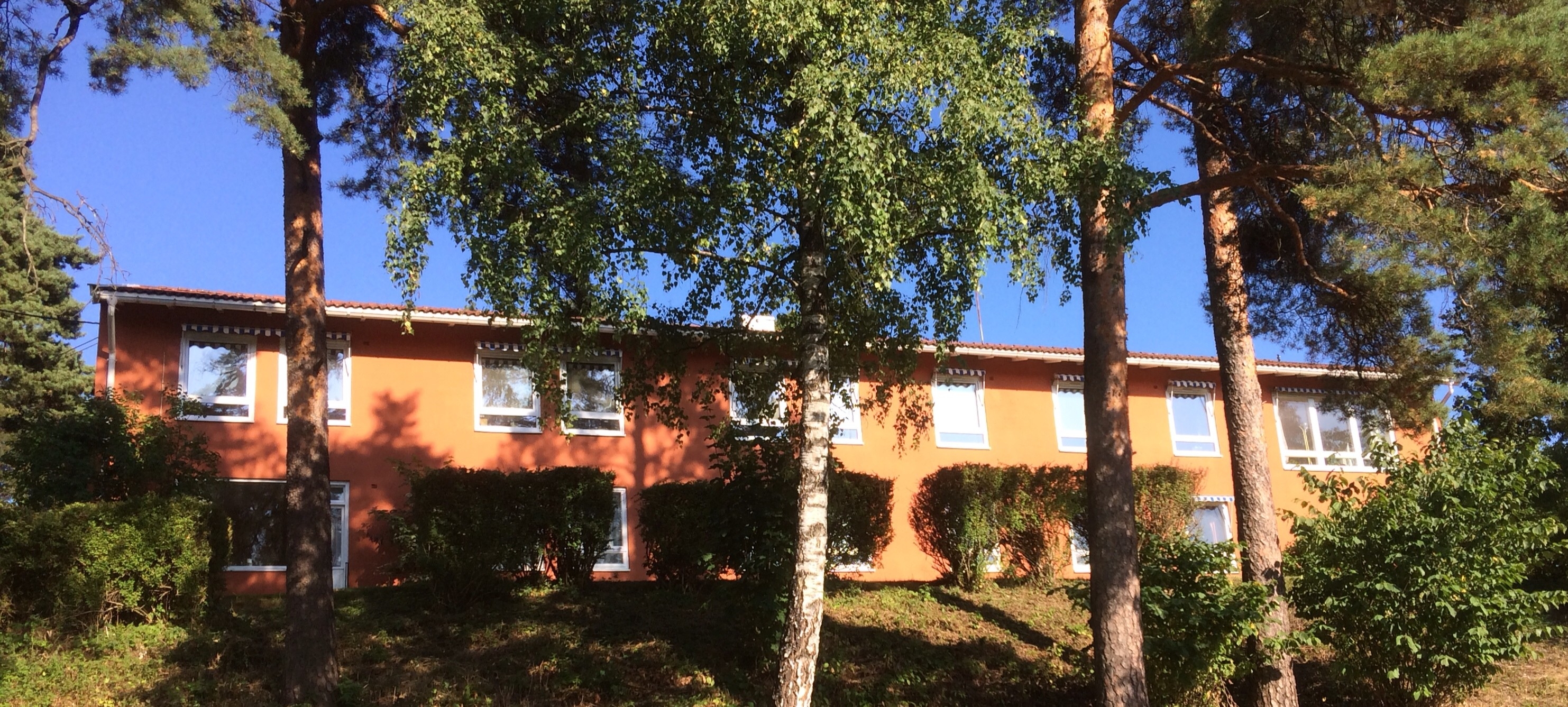 company cover image
