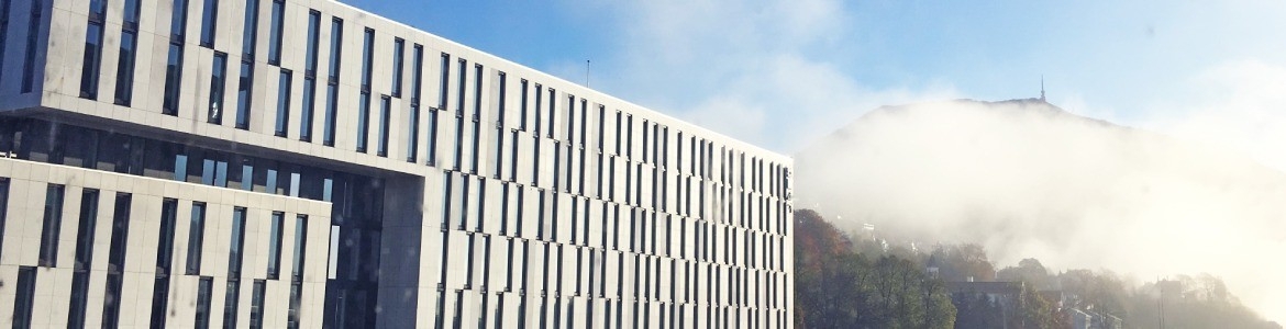 company cover image