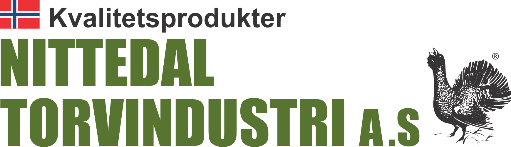 company logo image 