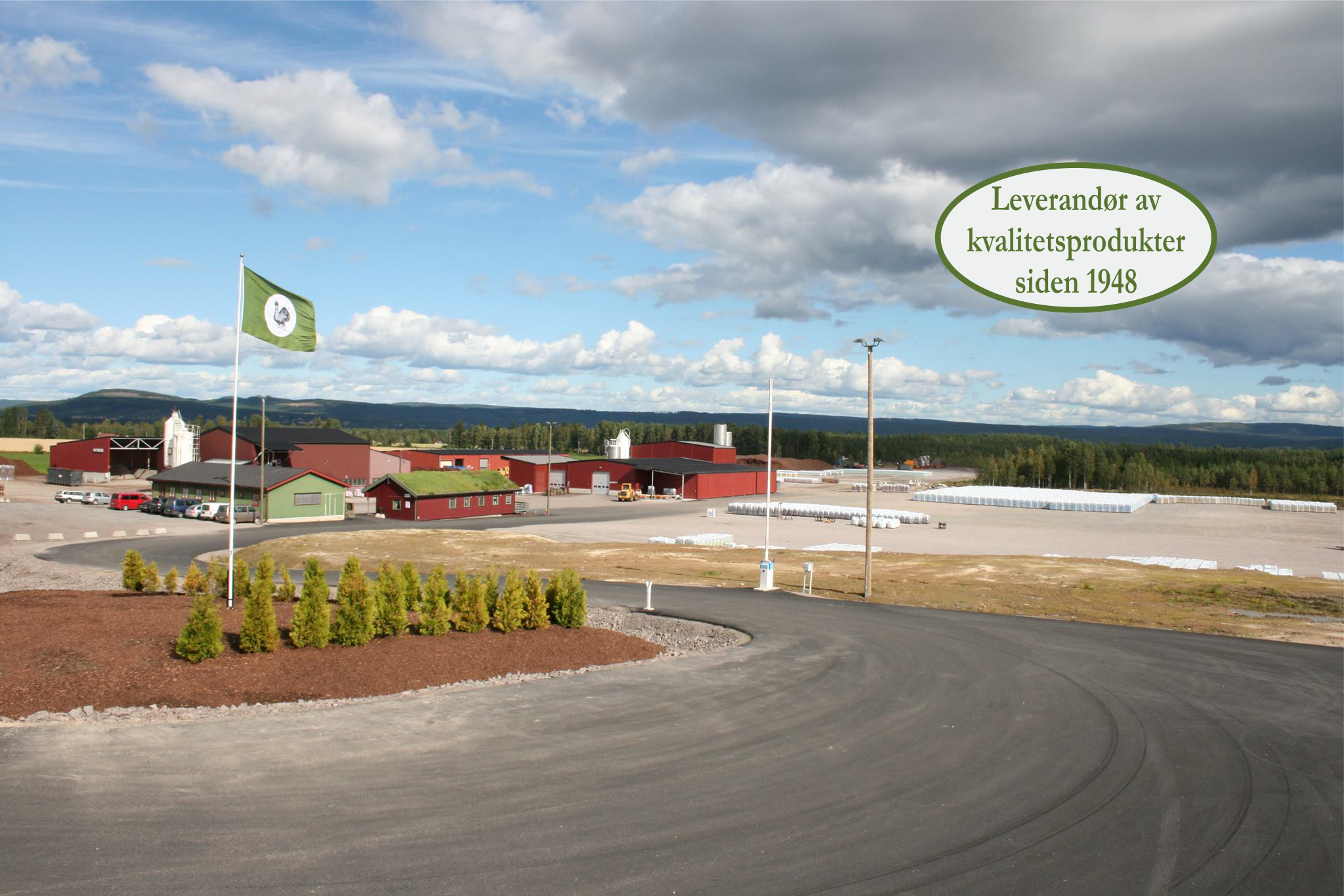 company cover image