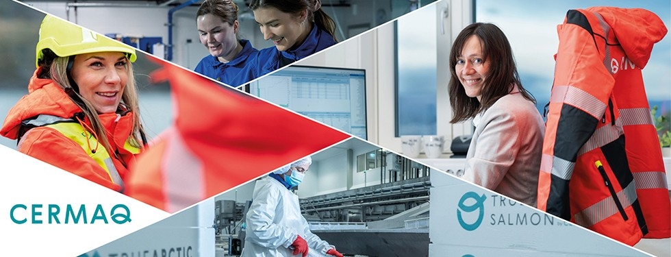 company cover image